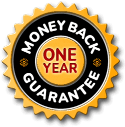 RhythmONE RhythmONE oneYear